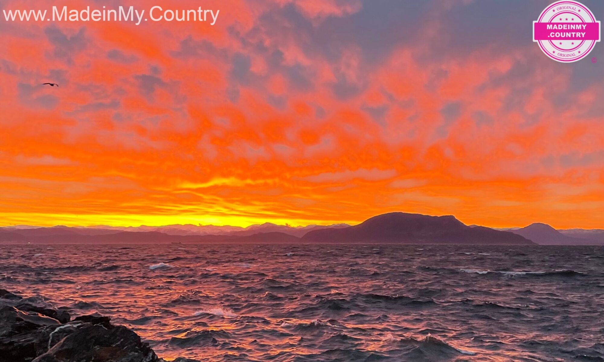 MadeinMycountry covers the planet!! Welcome to MadeinMycountry! Celebrate and Support Local Culture with MadeinMycountry MadeinMycountry is a global platform that celebrates and supports local history, culture, art, and nature conservation efforts. For two decades